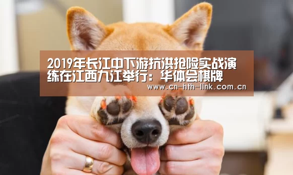 华体会官网