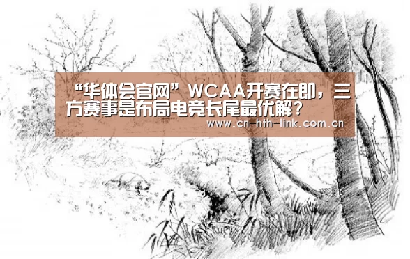 “华体会官网”WCAA开赛在即,三方赛事是布局电竞长尾最优解?(图1) 华体会入口