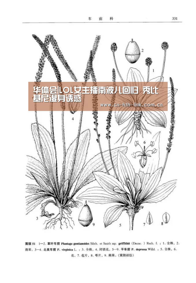华体会