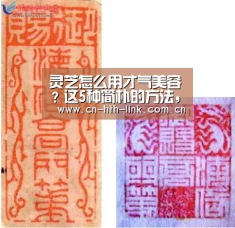 华体会官网