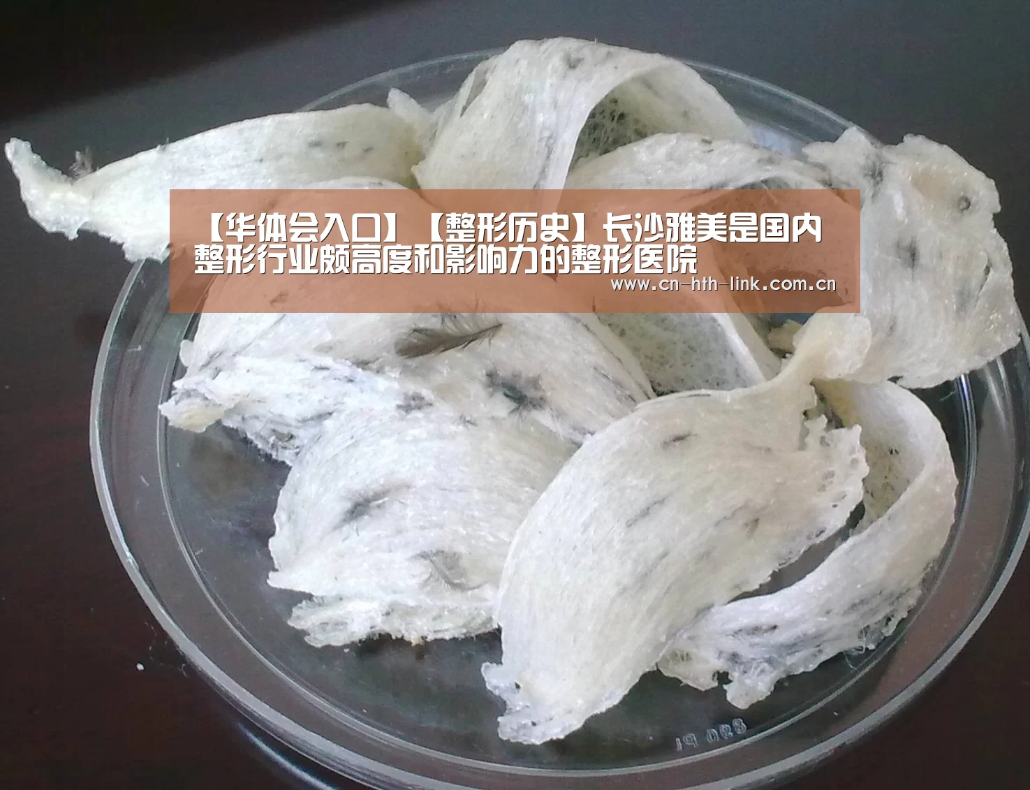 华体会棋牌
