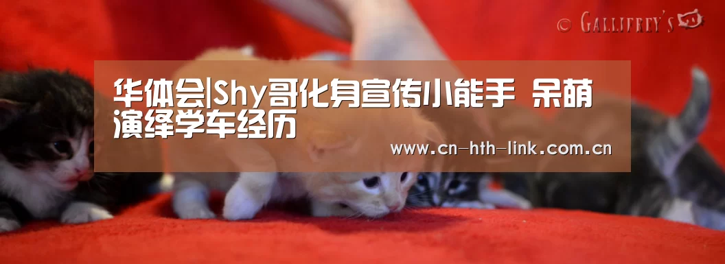 华体会入口